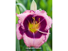 124,7���. �������� ������(�������� ���� �� 1 ��., ����������� ����� 1��.).jpg