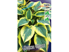 156,3���. ����� ����� �����(�������� ���� �� 1 ��., ����������� ����� 1��.).jpg