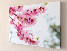 ������ 1-1.jpg