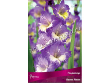 ��������� ����� ����.jpg