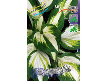 187,9���. ����� ����������(�������� ���� �� 1 ��., ����������� ����� 1��.).jpg