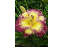 180���. �������� ���� ��� ����(�������� ���� �� 1 ��., ����������� ����� 1��.).jpg