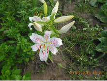 DSCN2124.JPG