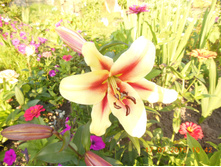 DSCN1526.JPG