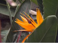 DSCF8164.JPG