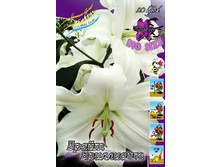 45,02���. ����� ����� ���������(��� 5 ��. ���������� �� 2��.).jpg