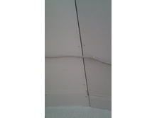 20161025 100351.jpg