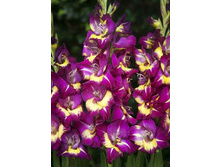 8,86���. ��������� �����(���������� ������ ������ ���������� �� 7 ��.)���17.jpg