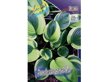 101���. ����� �����������(�������� ���� �� 1 ��., ����������� ����� 1��.).jpg