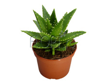 ���� ����������� 12�20. 173,25 ���.jpg