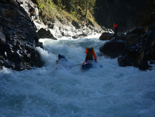 DSC 7135.JPG