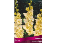 ��������� ������ �����.jpg