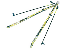 ������ �������� ����������� Larsen.PNG