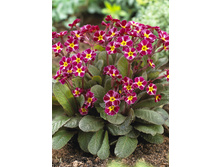 214,8���. ������� ���� �������(�������� ���� �� 1 ��., ����������� ����� 1��.).jpg