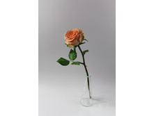 �������������� ����.