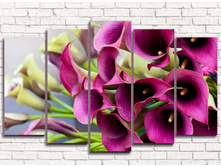 ��������� ����� 5-1.jpg