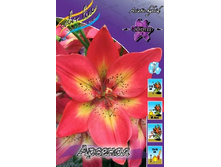 27,3���. ����� �������(��� 5 ��. ���������� �� 2��.).jpg