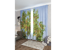 ����������� ������.jpg