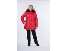 �������� �������.JPG