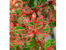 261���. �������� �������� ����£���.jpg