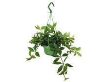 ��������� ������� 14�35. 374,85 ���.jpg