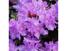 301���. ����������� ��������� ������.jpg