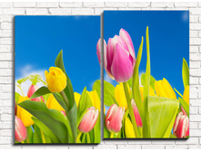 ������ �������� 2-1.jpg