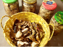 �����, �������