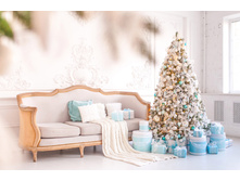 ��� ����