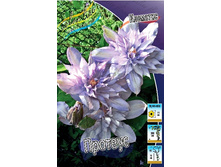 136,6���. �������� �������(�������� ���� �� 2 ��., ����������� ����� 1��.).jpg