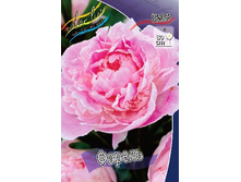 169���. ���� ������(�������� ���� �� 1 ��., ����������� ����� 1��.).jpg