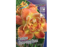 172,1���. �������� ������ �������� ����(�������� ���� �� 1 ��., ����������� ����� 1��.).jpg