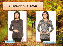 201258 �������