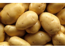 ������� (�����) 41���. �� 1��.jpg