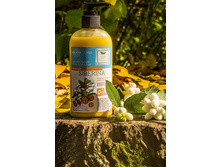 ����������� ���� ��� ���� "�������", 265,3