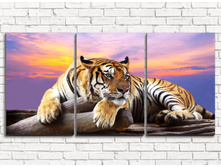 ���� 3-1.jpg