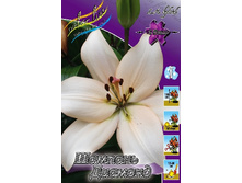 20,59���. ����� ������� �������(��� 7 ��. ���������� �� 2��.).jpg