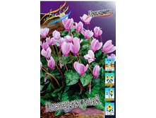 62,35���. �������� ������������(�������� ���� �� 2 ��., ����������� ����� 1��.).jpg