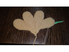 P 20161031 130905.jpg