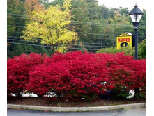 148���. ��������� �������� ���������.jpg