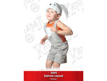 3005.jpg