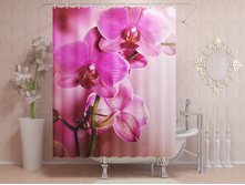 ������� �������.jpg