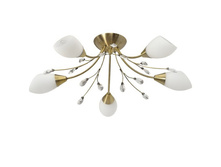 356012905 2900�.jpg