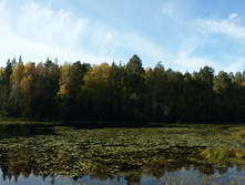 20161002 095201.jpg