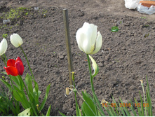 DSCN2107.JPG