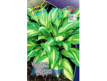 93,1���. ����� ����� �����(�������� ���� �� 1 ��., ����������� ����� 1��.).jpg