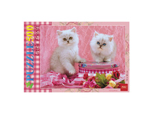 ���� STANDARD 500 ���������, �2, ������������� �����, 340�460��, 500��2 02480 133,49.jpg