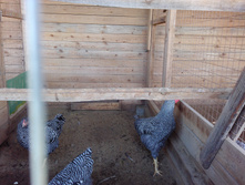 IMG 20161002 121455.jpg