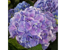 207���. ��������� �������������� ���� ���.jpg