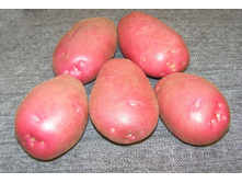 ������ (�����) 41���. �� 1��.jpg